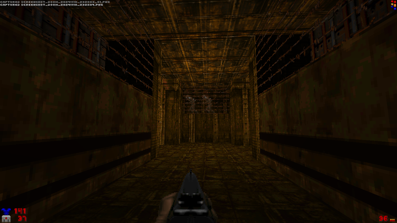 Screenshot_Doom_20241110_232806.png