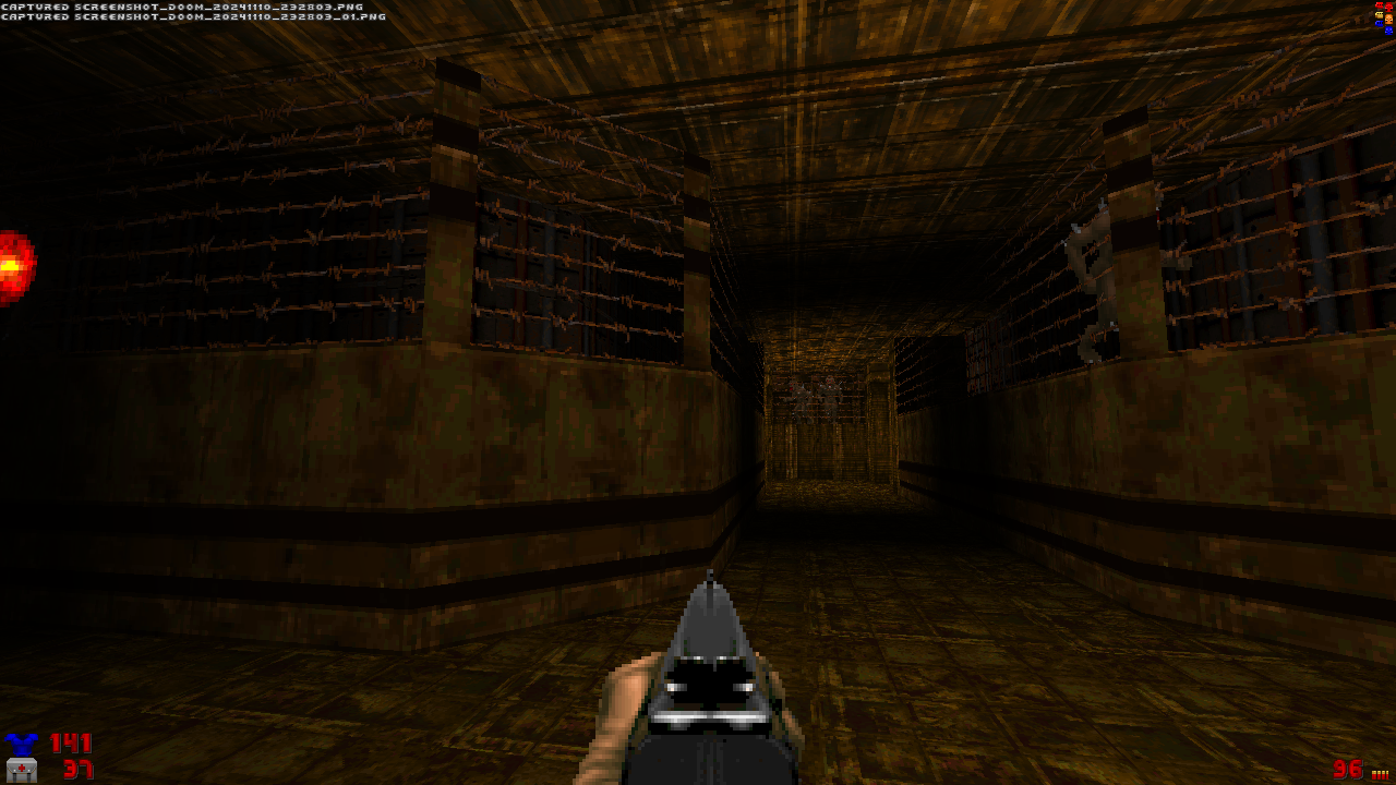 Screenshot_Doom_20241110_232804.png