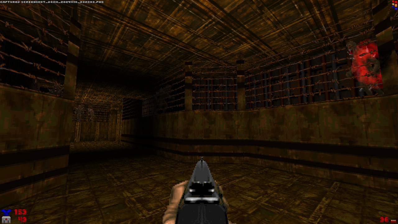 Screenshot_Doom_20241110_232803_01.png