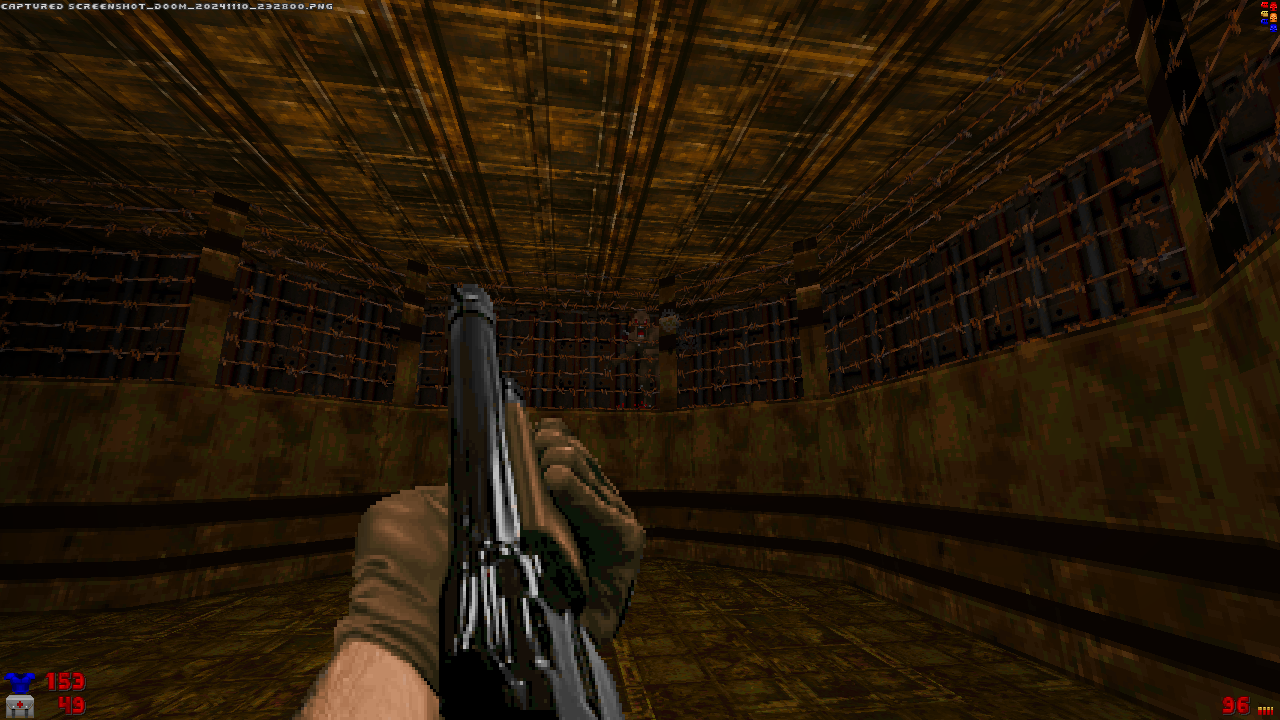 Screenshot_Doom_20241110_232803.png