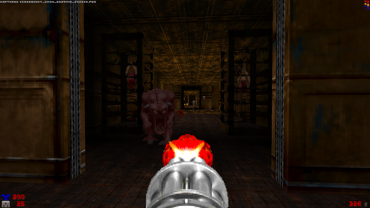 Screenshot_Doom_20241110_232540.png